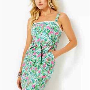 Lilly Pulitzer Kensington Dress Size 6